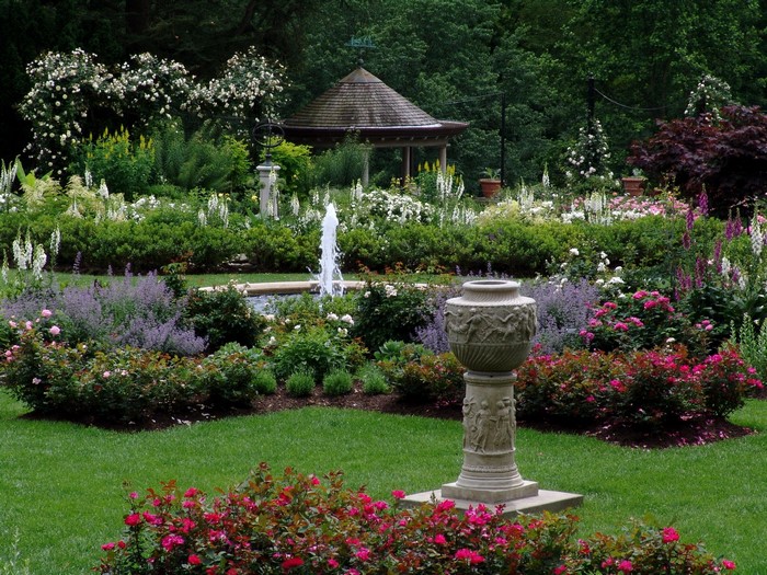 Rose Garden at Morris Arboretum, Pennsylvania, USA