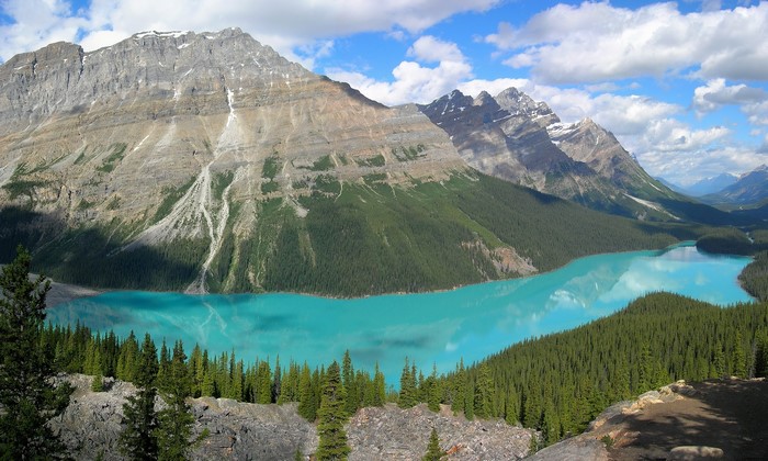 Peyto Lake in Banff National Park, Canada
