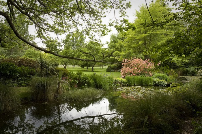 Garden pond with lush greenery and flowering bushes in New Zealand