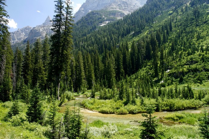 Cascade Canyon Grand Teton National Park Wyoming