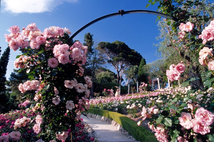 Rose garden with archway at Villa Ephrussi de Rothschild