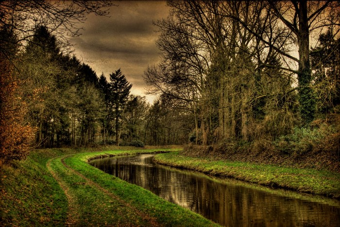 A winding canal through a forest