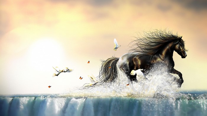 Black horse running through water with birds and butterflies