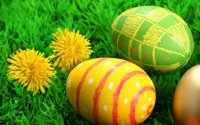 Easter Eggs and Dandelions on Green Grass