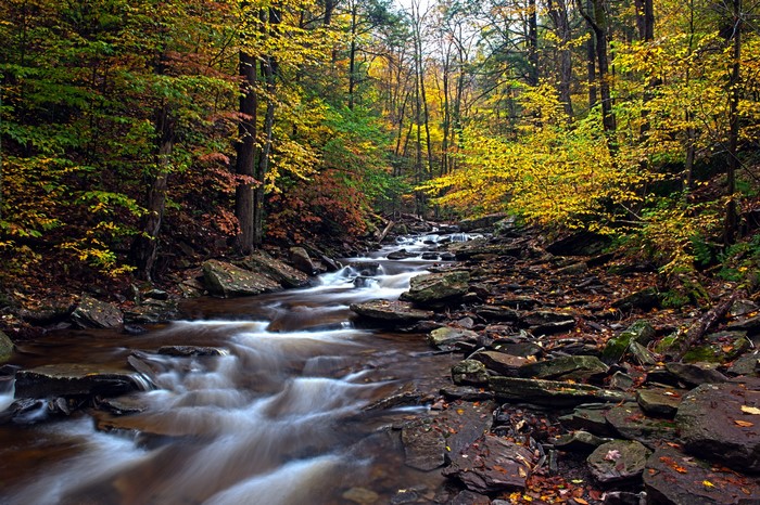 Ricketts Glen State Park, Pennsylvania