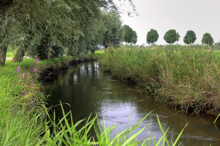 A narrow river flows through a grassy landscape with trees