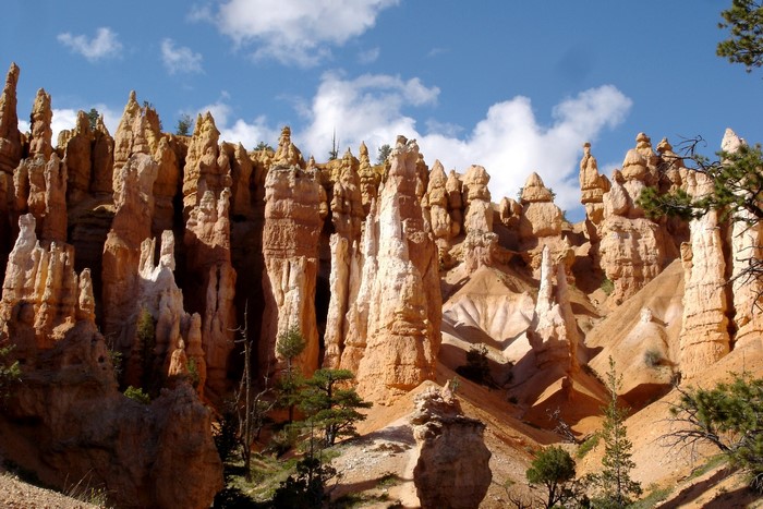 Bryce Canyon National Park Hoodoos, Utah