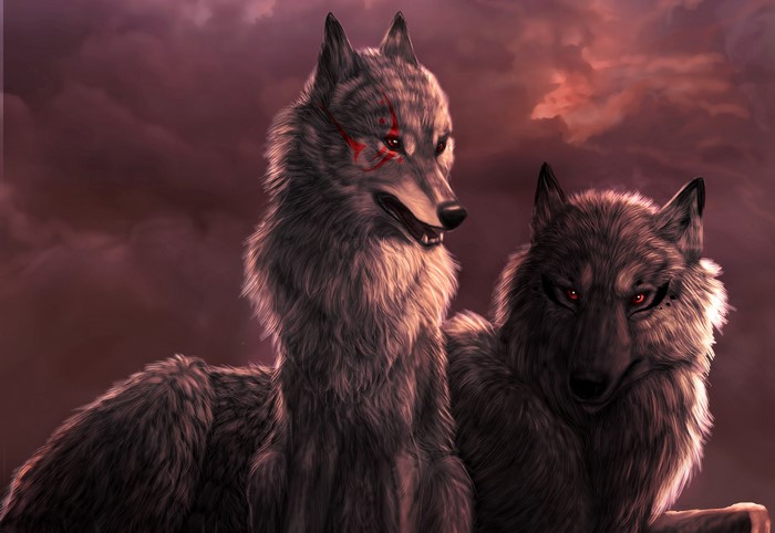 Two wolves with red markings on a dark sky