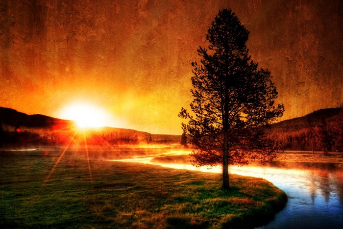 Sunrise over a misty river with a lone tree