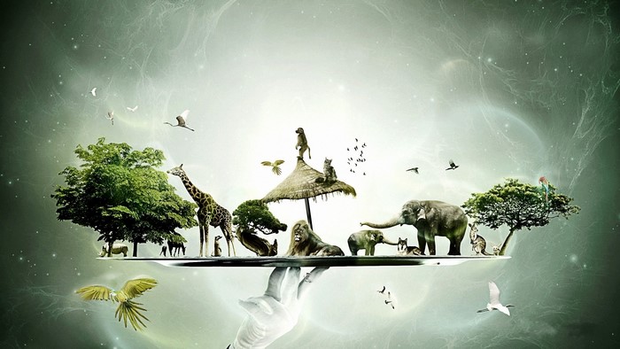 Animals and trees on a tray held by a hand