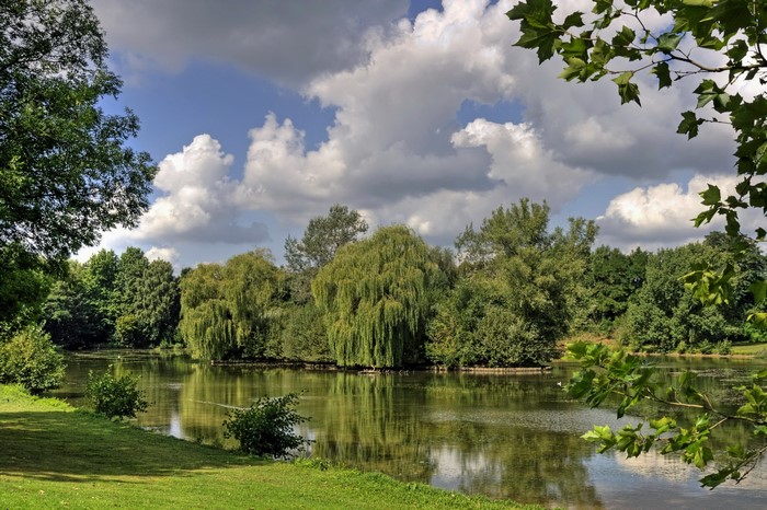 A tranquil lake surrounded by lush green trees under a cloudy sky