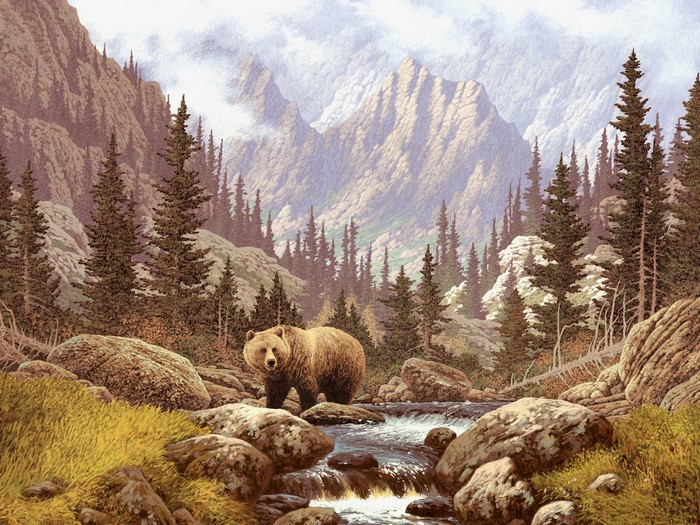 Brown Bear in a Mountain Stream