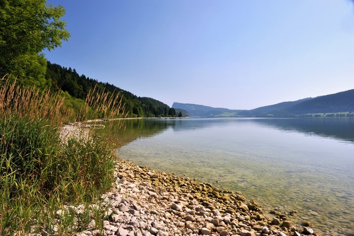 Lake with forested hills and rocky shore