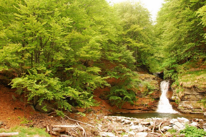Waterfall in a lush green forest in Ticino, Switzerland