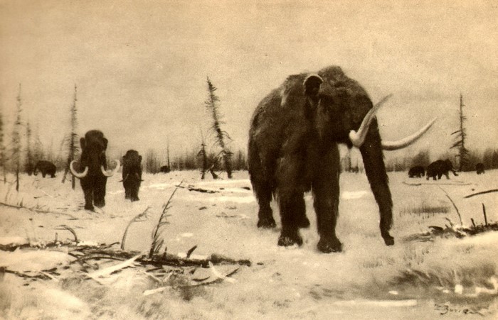 Mammoth of Berezovka in a snowy landscape
