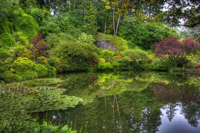 Gardens and pond with reflections