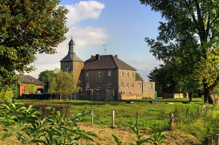 Castle with tower and cows in a field in Germany