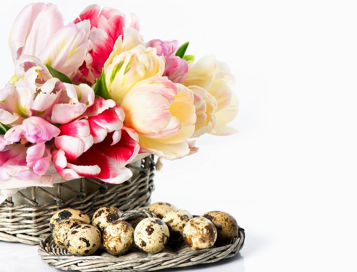 Basket of Tulips and Quail Eggs