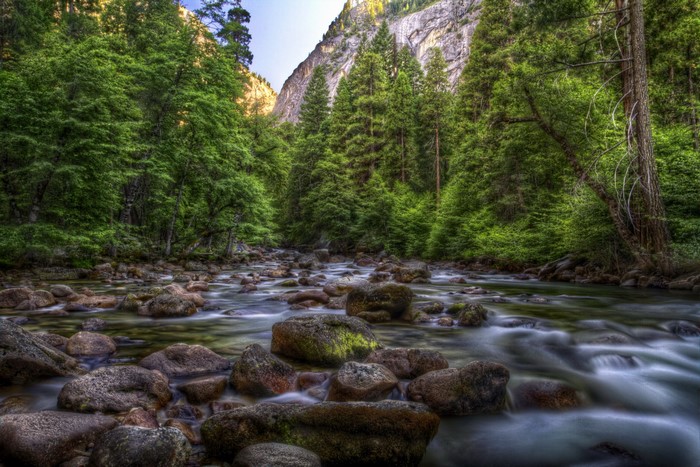 River flowing through Yosemite National Park, California