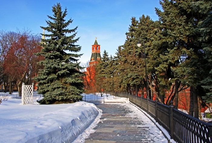 Winter scene with Kremlin tower and trees