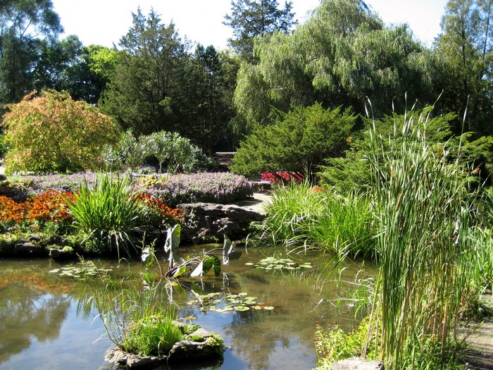 Royal Botanical Gardens Pond in Ontario, Canada