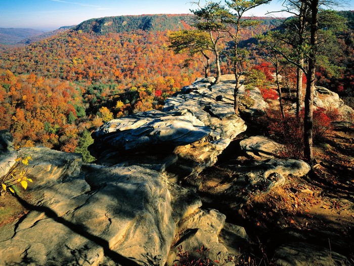Autumn forest vista from a rocky cliff