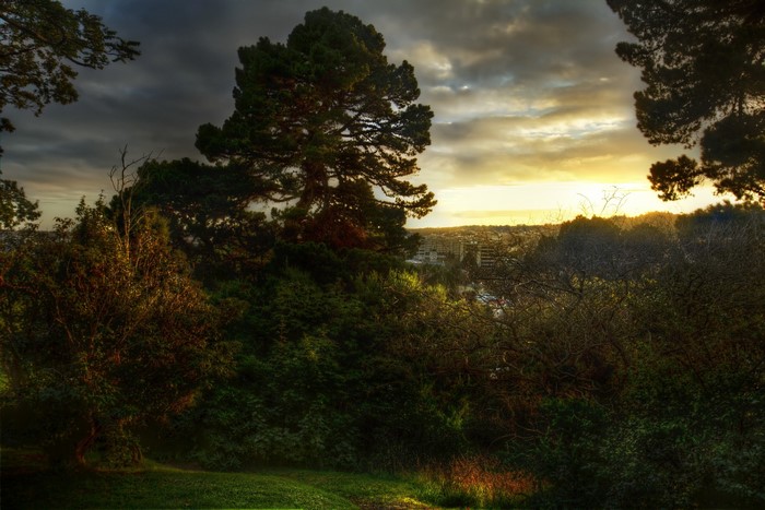 New Zealand sunset over a city and trees