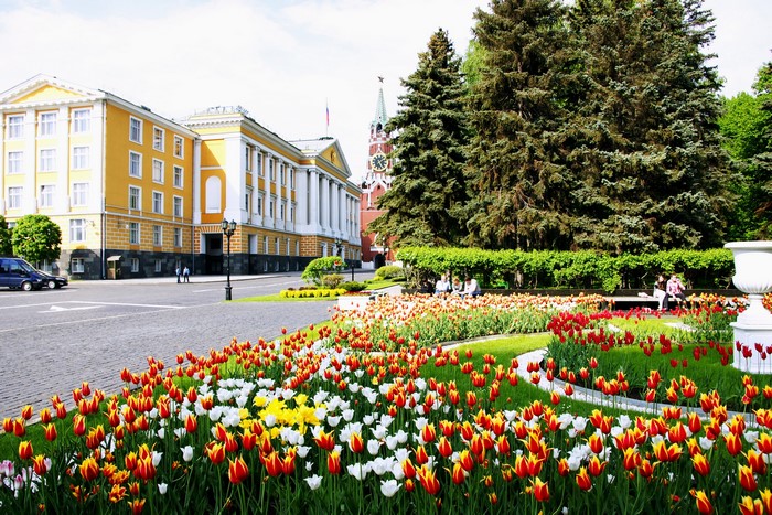 Kremlin and tulips in Moscow
