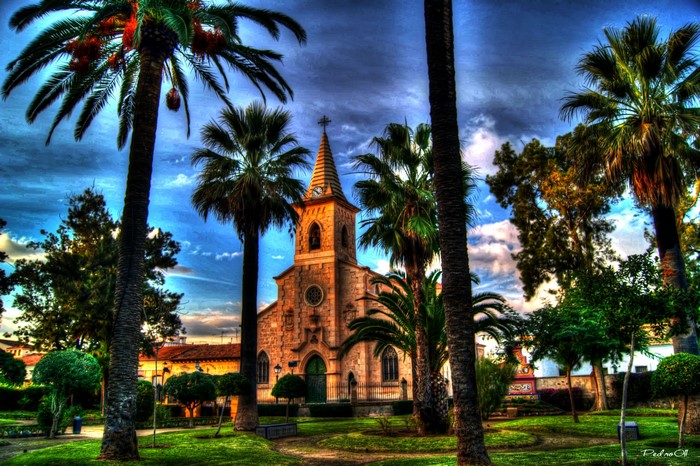 Church with palm trees in Spain