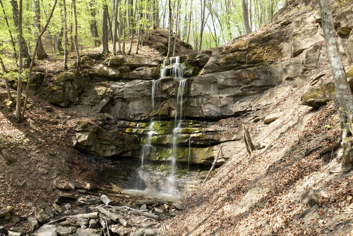 Waterfall cascading over rocky cliff in a forest