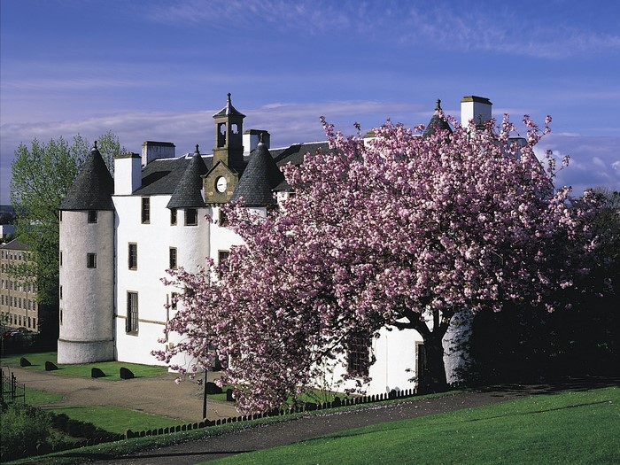 Dudhope Castle with blooming cherry tree in Scotland