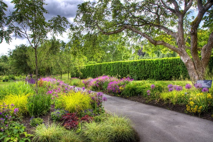 A garden path lined with colorful flowers and trees