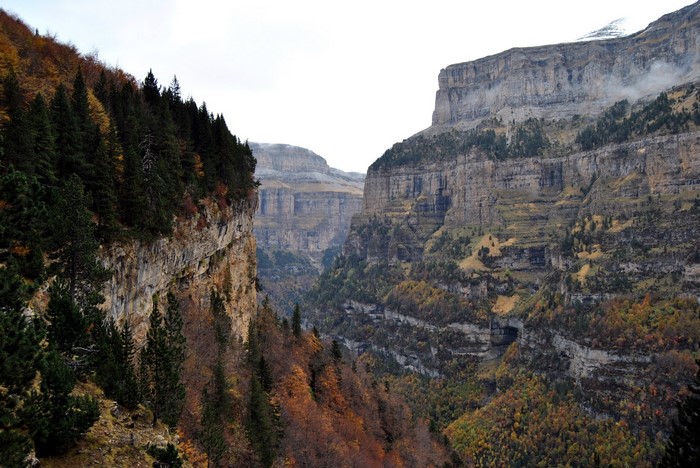 Mountain canyon with pine trees and autumn foliage