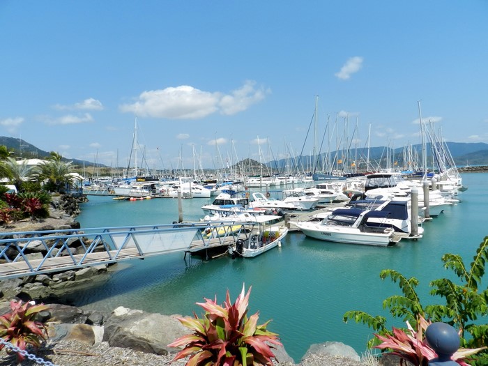 Boats docked in a marina on a sunny day
