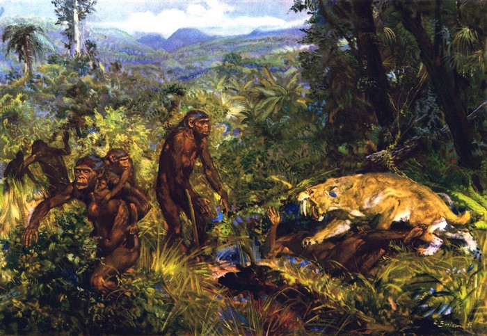 Pithecanthropus and saber-toothed cat in prehistoric jungle