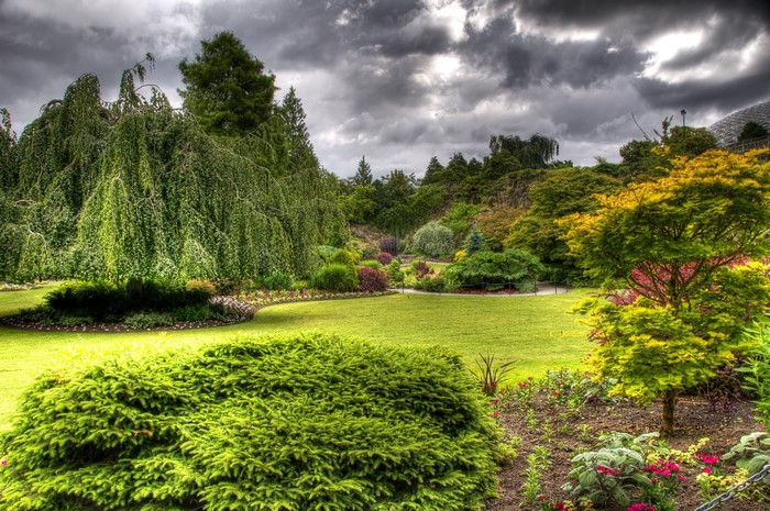 Beautiful Gardens with Weeping Trees and Flowers
