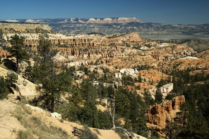 Bryce Canyon National Park in Utah, USA