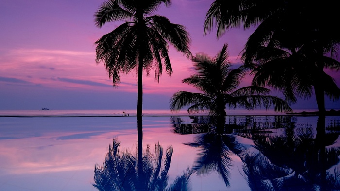 Palm trees reflected in infinity pool at sunset