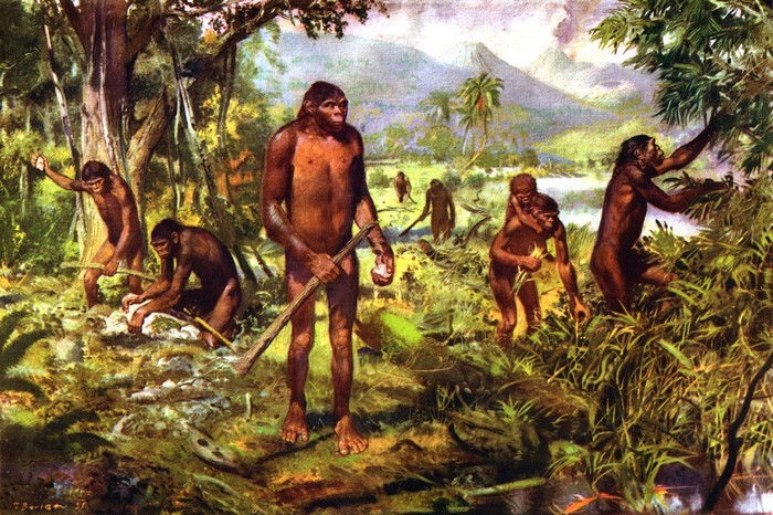 Pithecanthropus I by Zdenek Burian