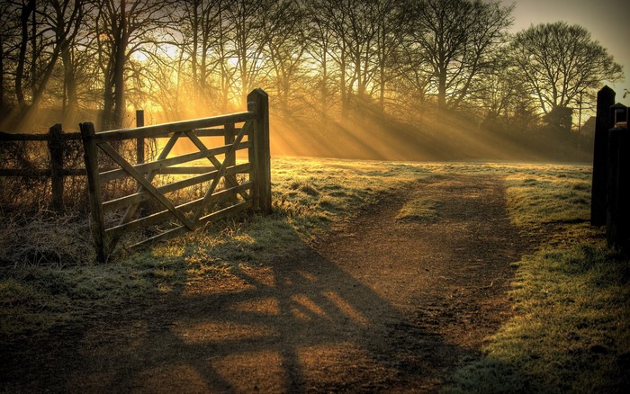 Wooden gate and path in misty sunrise