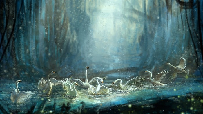 A group of swans swimming and flying in a mystical forest pond