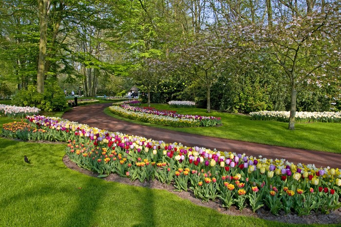 Keukenhof Gardens in Lisse, Netherlands