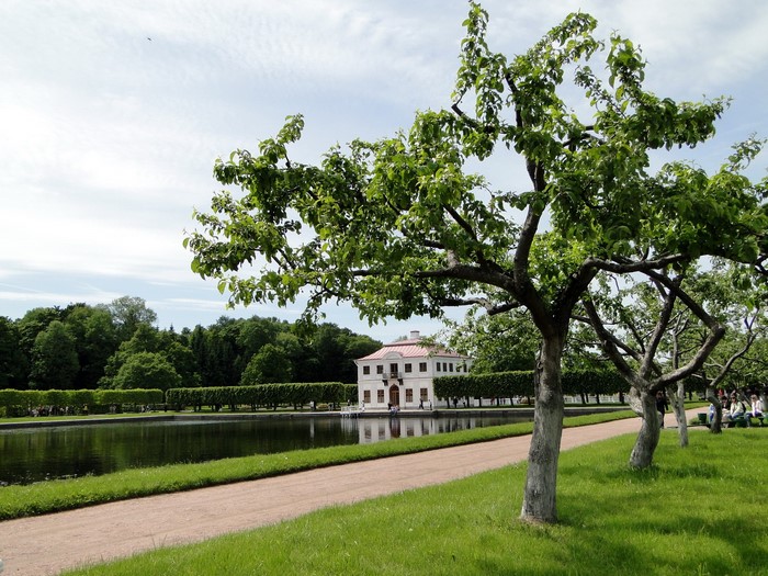 Park with a pond and a building