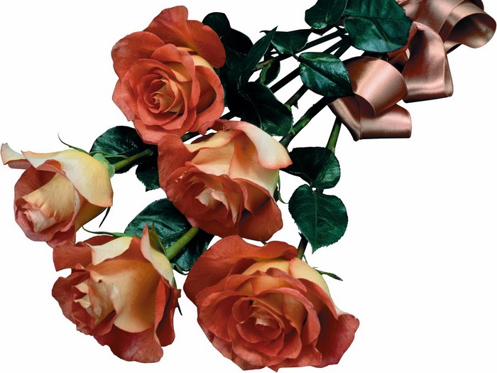 Bouquet of orange and yellow roses with a ribbon
