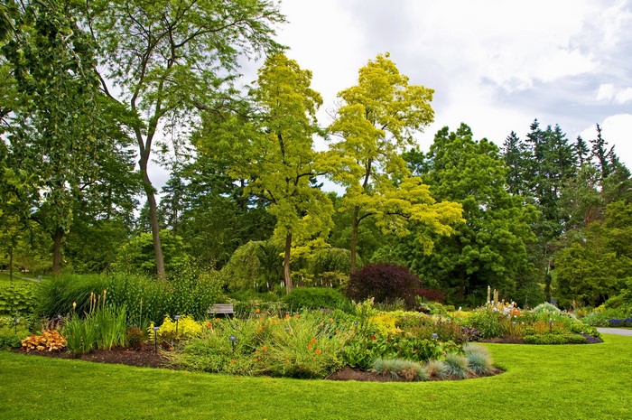 Beautiful garden with diverse trees and flowers