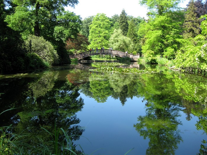 Wooden bridge over a tranquil lake in a German park