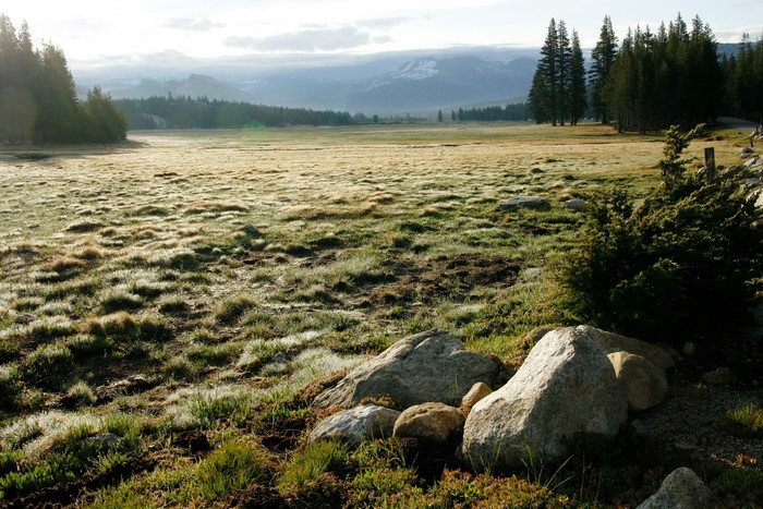 Tuolumne Meadows Yosemite National Park California