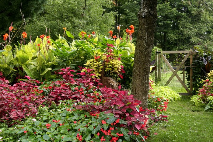 Colorful garden with a wooden gate