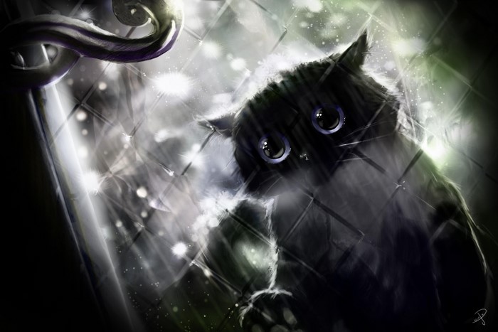 5K Cats Painting Art