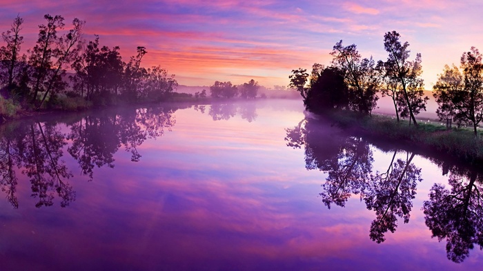 Purple sunrise over a misty river with trees